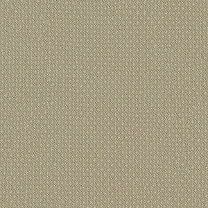 Nexus 6009 Taupe by ABBEYSHEA Fabric