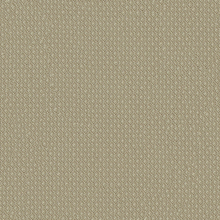 Nexus 6009 Taupe by ABBEYSHEA Designer Fabric 100% Polyester China </p><p>Repeat: Horizontal: 0.3" (0.8 cm) Up the Roll and Vertical: 0.3" (0.8 cm) Across the Roll 57" (144 cm) - Swanky Fabrics -