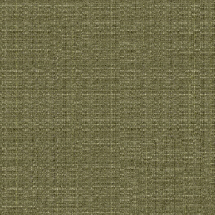 LaGarde 205 Olive by ABBEYSHEA Fabric N/A 100% Polyester China 40,000 Double Rubs </p><p>Repeat: Horizontal: and Vertical: 54" (137 cm) - Fabric Carolina -