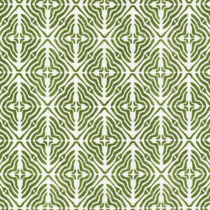 Megan 3 Avocado by Stout Fabric RAINBOW LIBRARY SAGE/CYPRESS 58%LIN 42%COT INDIA Horizontal: 6.500 and Vertical: 7.500 54 in - Fabric Carolina -