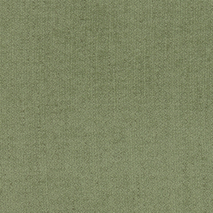 Menagerie 1 Moss by Stout Designer Fabric LIVING IS EASY ALOE/MINERAL 100%POL CHINA FLAME RETARDANT-U.F.A.C. CLASS 1 CATB 117-2013 WYZENBEEK 30 000 DOUBLE RUB WEAR TEST (HEAVY DUTY) Horizontal: 0.000 and Vertical: 20.750 56 in - Swanky Fabrics -