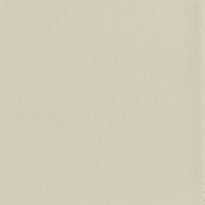 Mentor Oyster White 6009 by Norbar Fabric ATRIUM 100% PVC - BACK 100% POLY CHINA 54 - Fabric Carolina -
