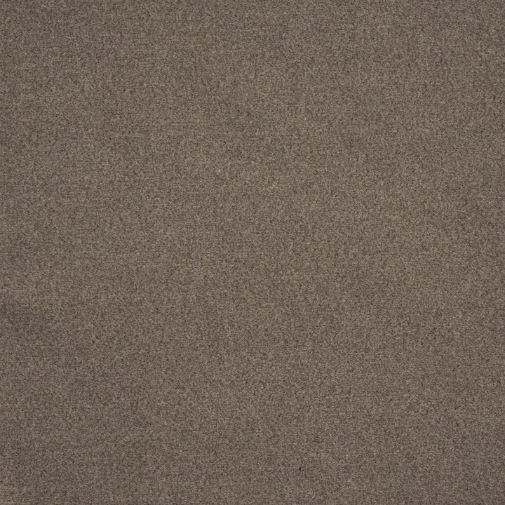 Melton # 728 Ash by Maxwell Designer Fabric Performance Wovens-Vol. Vii Gold Rush 100% POLYESTER CHINA 54" - Swanky Fabrics -