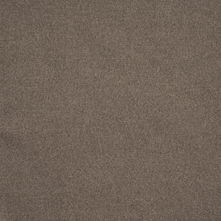 Melton # 728 Ash by Maxwell Fabric Performance Wovens-Vol. Vii Gold Rush 100% POLYESTER CHINA 54" - Fabric Carolina -