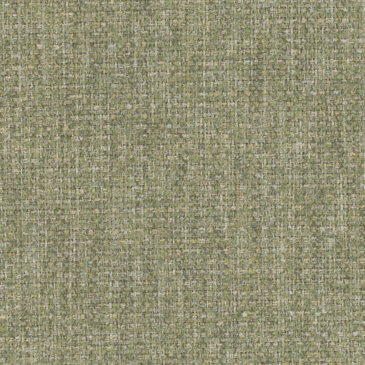 Meridian 1 Grass by Stout Fabric LIVING IS EASY ALOE/MINERAL 100%POL CHINA CATB 117-2013 WYZENBEEK 50 000 DOUBLE RUB WEAR TEST (HEAVY DUTY) Horizontal: 0.000 and Vertical: 0.000 57 in - Fabric Carolina -