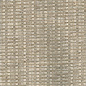 Merit Sand 12 by Norbar Fabric See Sample 89% POLYESTER 11% POLYACRYLIC GERMANY 30,000 MARTINDALE 54 - Fabric Carolina -