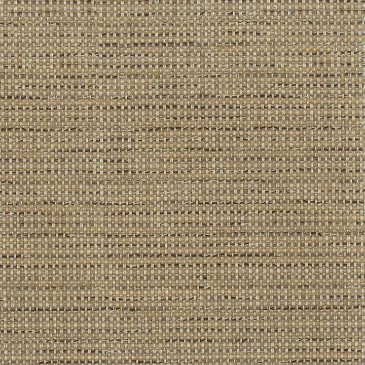 Mesquite 3 Driftwood by Sunbrella Fabric SUNRISE SOLIDS BY SUNBRELLA 98%SN 2%POL USA FLAME RETARDANT-CA BULLETIN 117-SECTION E WYZENBEEK 12 000 DOUBLE RUB WEAR TEST (MEDIUM DUTY) Horizontal: 0 and Vertical: 0 54 in - Fabric Carolina -