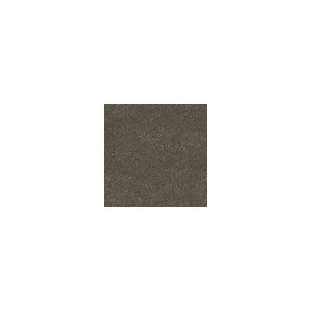 Metals Pewter by Kravet Couture Fabric - NYLON - 100% United States HEAVY Horizontal: 0 and Vertical: 0 54 - Fabric Carolina -