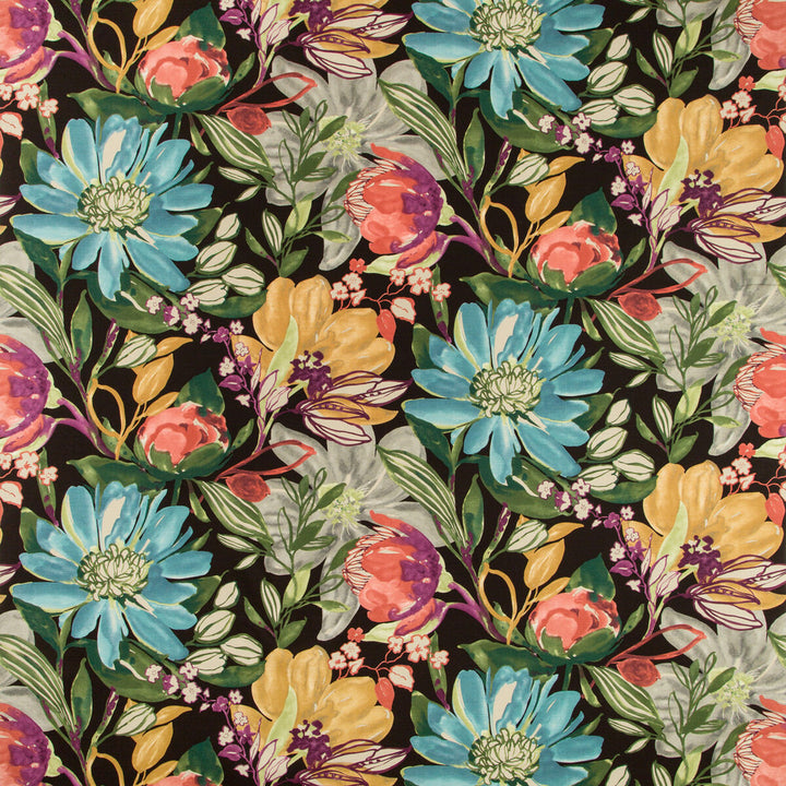 Meundiers-813 by Kravet Basics Fabric COTTON - 100% Peru HEAVY Horizontal: 27 and Vertical: 27 54 - Fabric Carolina -
