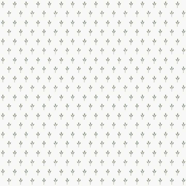 Charm Sage Wallpaper by Magnolia Home Magnolia Home 4 Covers about 56.4 square feet 20.5-in by 33-ft long roll Prepasted 20.5 - Fabric Carolina -