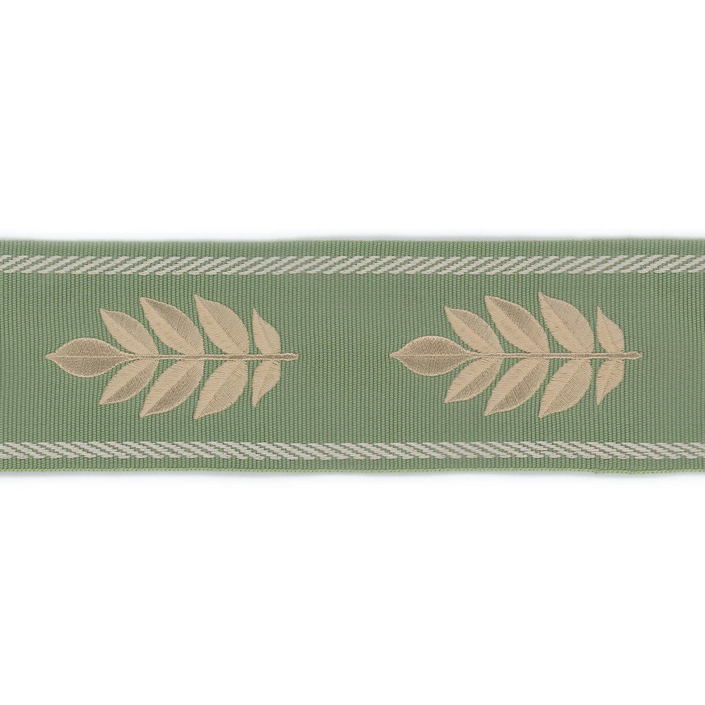 Midfield Tape 3 Sage by Stout Trim Stout Trim Midfield Tape 3 SageTrim NEW TRADITIONS TRIM 90%SVI 10%POL CHINA </p><p>Repeat: H: 3.875, V: 0.000 2.5 in - Fabric Carolina -