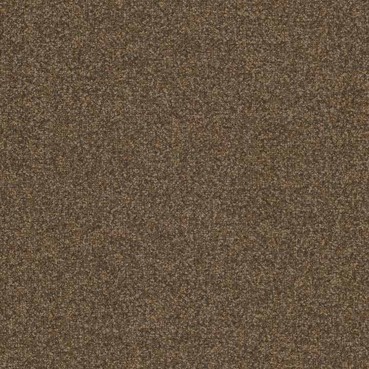 Midge 1 Brownie by Stout Fabric Stout Fabric Midge 1 BrownieFabric Comfortable Living Sandstone/Truffle 96%Pol 4%Acr China </p><p>Repeat: H: 0, V: 15.125 54 in - Fabric Carolina -