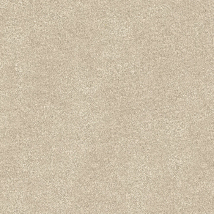 Mariah 649 Almond by ABBEYSHEA Fabric N/A 100% Polyester China 125,000 Double Rubs </p><p>Repeat: Horizontal: and Vertical: 55" (140 cm) - Fabric Carolina -