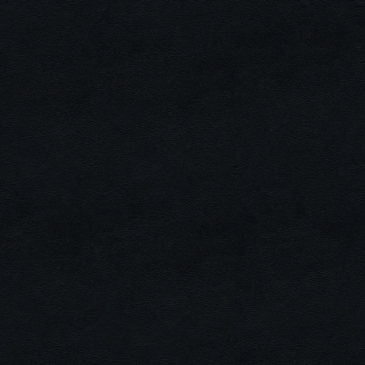 Mariah 9009 Black by ABBEYSHEA Fabric 100% Polyvinyl Chloride (PVC) China 30,000 Double Rubs (Wyzenbeek) </p><p>Repeat: Horizontal: and Vertical: 54" (137 cm) - Fabric Carolina -