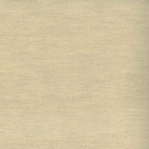 Mikado Champagne 16 by Norbar Fabric KENDRA 100% POLYESTER INDIA 54 - Fabric Carolina -