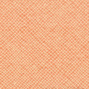Milkyway 1 Apricot by Stout Fabric