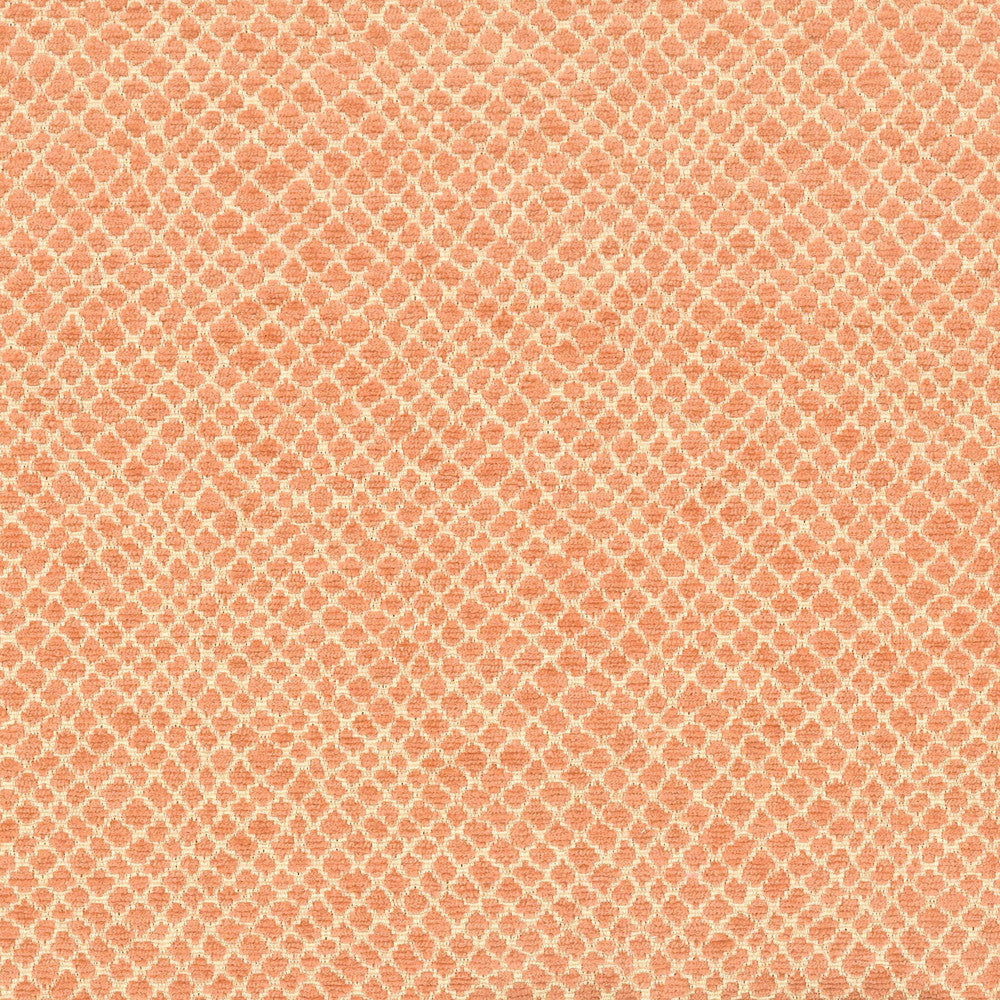 Milkyway 1 Apricot by Stout Fabric COMFORTABLE LIVING CORAL/SHRIMP 100%POL CHINA Horizontal: 5.625 and Vertical: 5.625 54 in - Fabric Carolina -