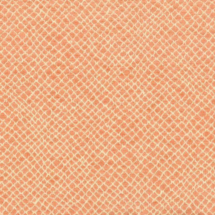 Milkyway 1 Apricot by Stout Fabric COMFORTABLE LIVING CORAL/SHRIMP 100%POL CHINA CATB 117-2013 WYZENBEEK 30 000 DOUBLE RUB WEAR TEST (HEAVY DUTY) Horizontal: 5.625 and Vertical: 5.625 54 in - Fabric Carolina -