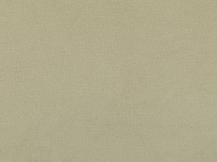 Millbrook Natural 11 by Jennifer Adams Fabric our website for purchase 100% Polyester China 50000+ Horizontal: 0" and Vertical: 0" 55" - Fabric Carolina -
