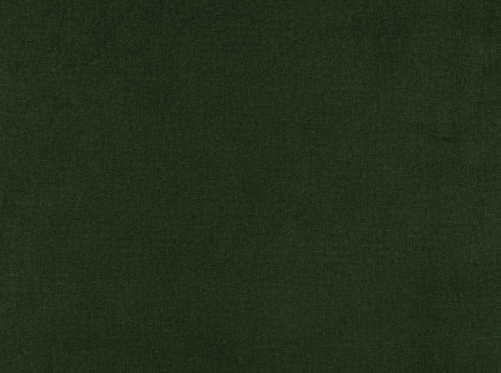 Millbrook Verde 28 by Jennifer Adams Fabric our website for purchase 100% Polyester China 50000+ Horizontal: 0" and Vertical: 0" 55" - Fabric Carolina -