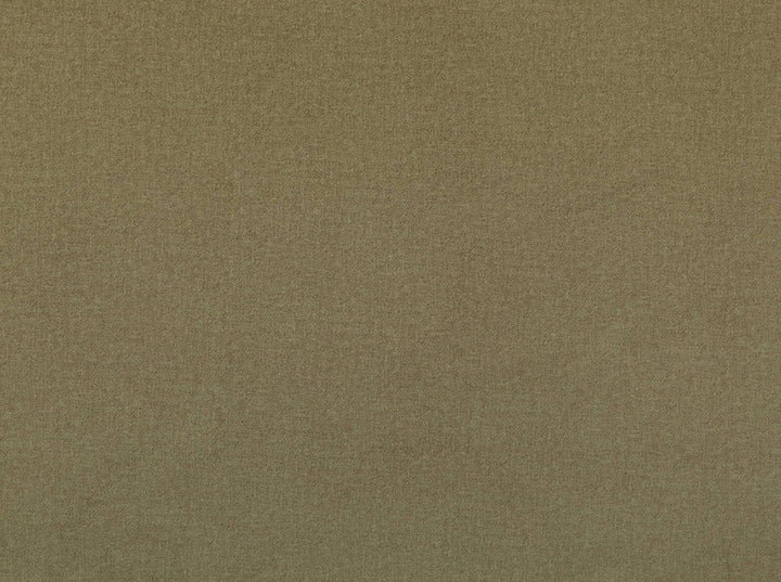 Millbrook Cafe 668 by Jennifer Adams Fabric our website for purchase 100% Polyester China 50000+ Horizontal: 0" and Vertical: 0" 55" - Fabric Carolina -