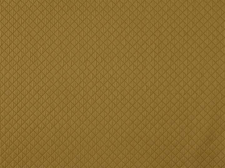 Milo Golden 81 by Covington Fabric our website for purchase 100% Polyester India 55000 Horizontal: 1" and Vertical: 1" 55" - Fabric Carolina -