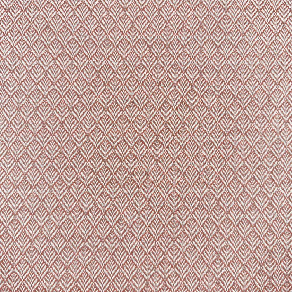 Mimus Punch by Magnolia Fabric - 100% Polyester China 60000 Horizontal: 0.5 and Vertical: 0.75 54 - Fabric Carolina -