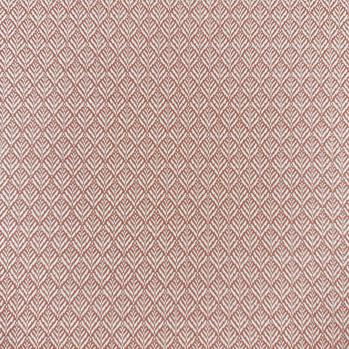 Mimus Punch by Magnolia Fabric - 100% Polyester China 60000 Horizontal: 0.5 and Vertical: 0.75 54 - Fabric Carolina -