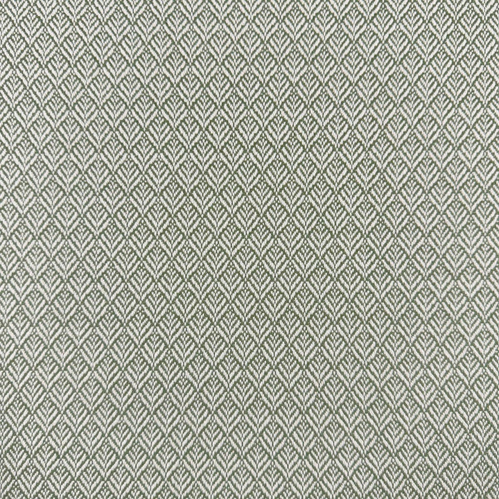 Mimus Rosemary by Magnolia Fabric - 100% Polyester China 60000 Horizontal: 0.5 and Vertical: 0.75 54 - Fabric Carolina -