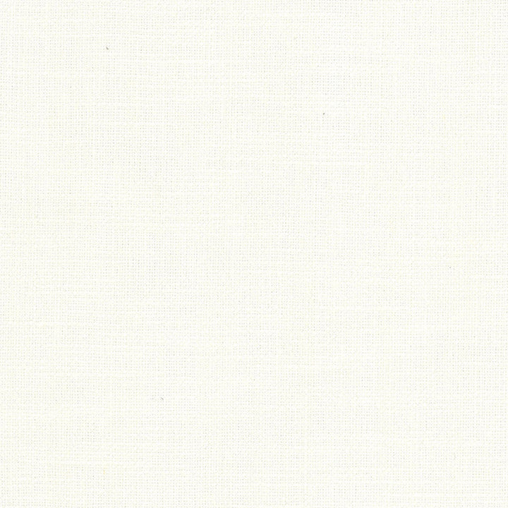 Mirror 1 Ivory by Stout Fabric Stout Fabric Mirror 1 IvoryFabric THE NATURALS IV 68%LIN 32%COT BRAZIL </p><p>Repeat: H: 0.000, V: 0.000 55 in - Fabric Carolina -