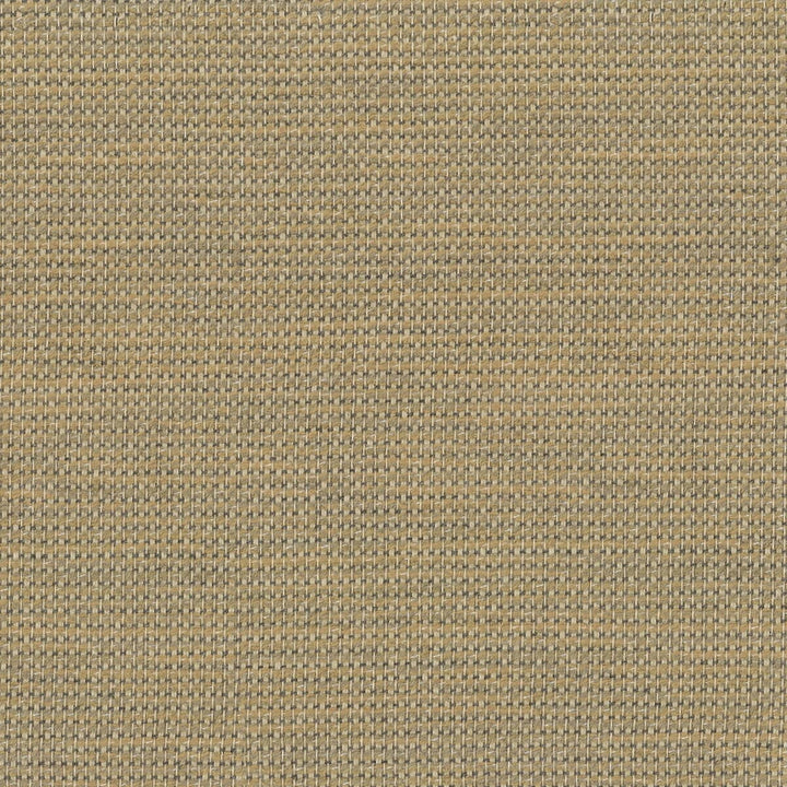 Mitcham 1 Tan by Sunbrella Fabric Sunrise Solids By Sunbrella 98% Sunbrella Acrylic 2% Polyester USA FLAME RETARDANT-CA BULLETIN 117-SECTION E WYZENBEEK 15 000 DOUBLE RUB WEAR TEST (HEAVY DUTY) Horizontal: 0 and Vertical: 0 54 in - Fabric Carolina -