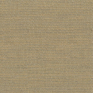 Mitcham 1 Tan by Sunbrella Fabric