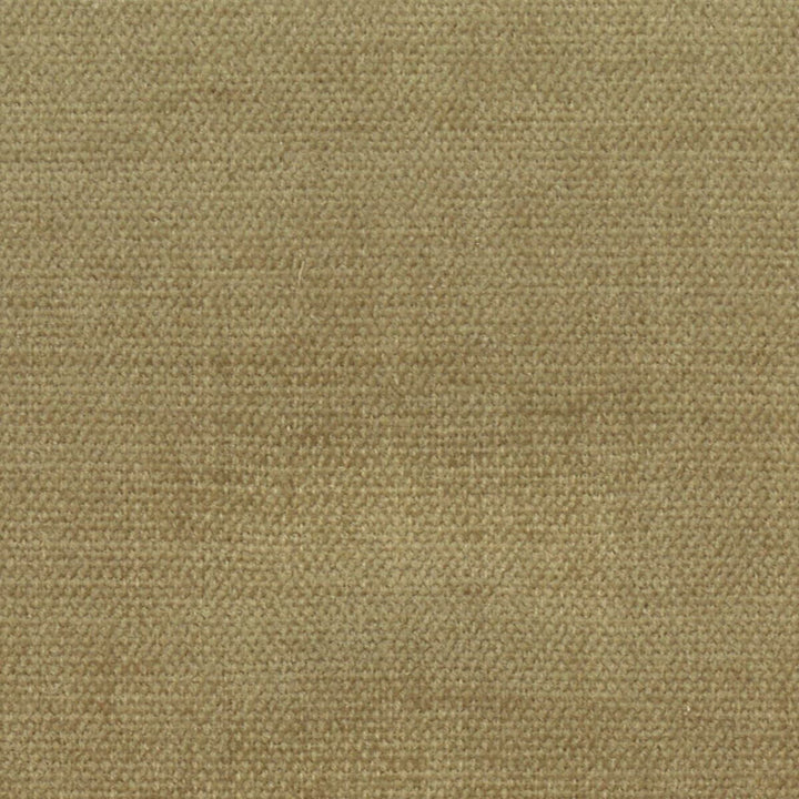 Mixup 12 Mushroom by Stout Fabric PAINT THE TOWN 100%POL INDIA CATB 117-2013 WYZENBEEK 50 000 DOUBLE RUB WEAR TEST (HEAVY DUTY) </p><p>Repeat: 0 54 in - Fabric Carolina -