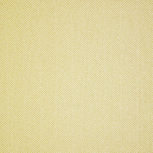 Middlesex # 29 Champagne by Maxwell Fabric