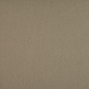Marvelous # 43 Earth by Maxwell Fabric