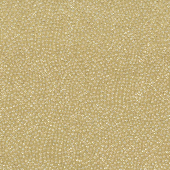 Mobutu 3 Oldgold by Stout Fabric RAINBOW LIBRARY CHARDONNAY/CARAMEL 100%POL CHINA WYZENBEEK 45 000 DOUBLE RUB WEAR TEST (HEAVY DUTY) Horizontal: 0 and Vertical: 0 57 in - Fabric Carolina -