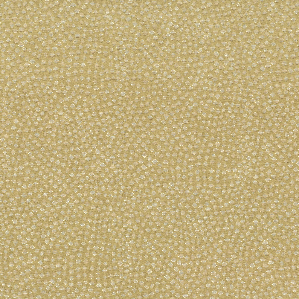 Mobutu 3 Oldgold by Stout Fabric Rainbow Library Chardonnay/Caramel 100% Polyester CHINA WYZENBEEK 45 000 DOUBLE RUB WEAR TEST (HEAVY DUTY) Horizontal: 0 and Vertical: 0 57 in - Fabric Carolina -