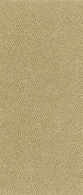 Kravet Design Moccasin-161 by Kravet Design Fabric Kravet Design Fabric Kravet Design Moccasin-161Fabric NYLON - 100% United States </p><p>Repeat: H: 0, V: 0 54 - Fabric Carolina -