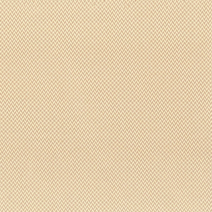Moffa 2 Beige by Stout Fabric SUNSHINE SAVVY INDOOR/OUTDOOR 46%OLE 54%POL MEXICO FLAME RETARDANT-U.F.A.C. CLASS 1 WYZENBEEK 45 000 DOUBLE RUB WEAR TEST (HEAVY DUTY) </p><p>Repeat: 2 55 in - Fabric Carolina -