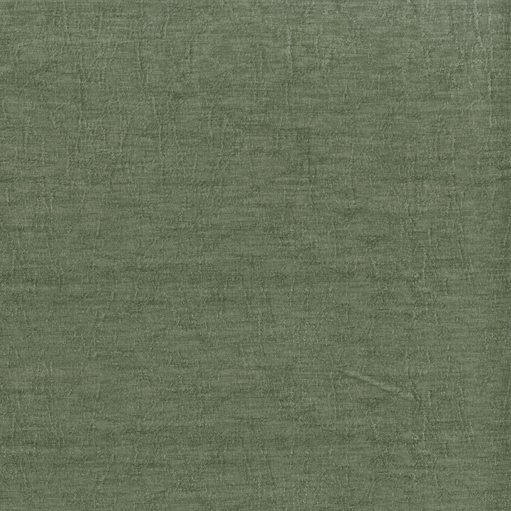 Molly 22 Fern by ABBEYSHEA Fabric CN </p><p>Repeat: Horizontal: and Vertical: - Fabric Carolina -