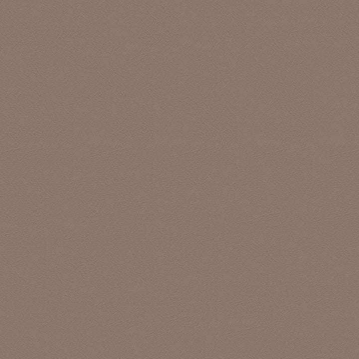 Monticello 9802/67 Sandstone by Softside Fabric 100% Polyvinyl Chloride (PVC) Costa Rica 50,000 Double Rubs (Wyzenbeek) </p><p>Repeat: Horizontal: and Vertical: 54" (137 cm) - Fabric Carolina -