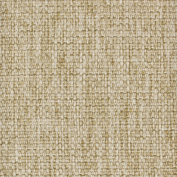 Monza 1 Mushroom by Crypton Fabric PERFORMANCE SOLIDS BY CRYPTON HOME 100%POL CHINA PERFORMANCE RATED FABRIC WYZENBEEK 50 000 DOUBLE RUB WEAR TEST (HEAVY DUTY) FLAME RETARDANT-U.F.A.C. CLASS 1 FLAME RETARDANT-N.F.P.A. 260A CLASS 1 CATB 117-2013 Horizontal: 0 and Vertical: 0 54 in - Fabric Carolina -