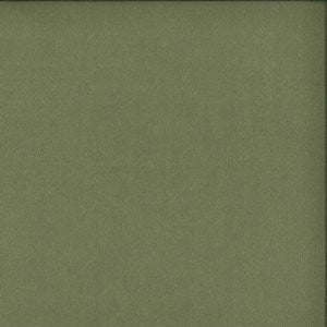 Moonbeam Sage 22 by Norbar Fabric MOONBEAM 100% POLYESTER TURKEY 80,000 MARTINDALE </p><p>Repeat: 59 - Fabric Carolina -