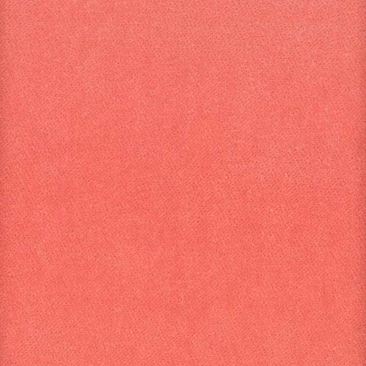 Moore 10 Tearose by Stout Fabric TIMELESS VELVETS 82%POL 18%COT SOUTH KOREA FLAME RETARDANT-N.F.P.A. 260A CLASS 1 CATB 117-2013 WYZENBEEK 50 000 DOUBLE RUB WEAR TEST (HEAVY DUTY) Horizontal: 0.000 and Vertical: 0.000 54.75 in - Fabric Carolina -