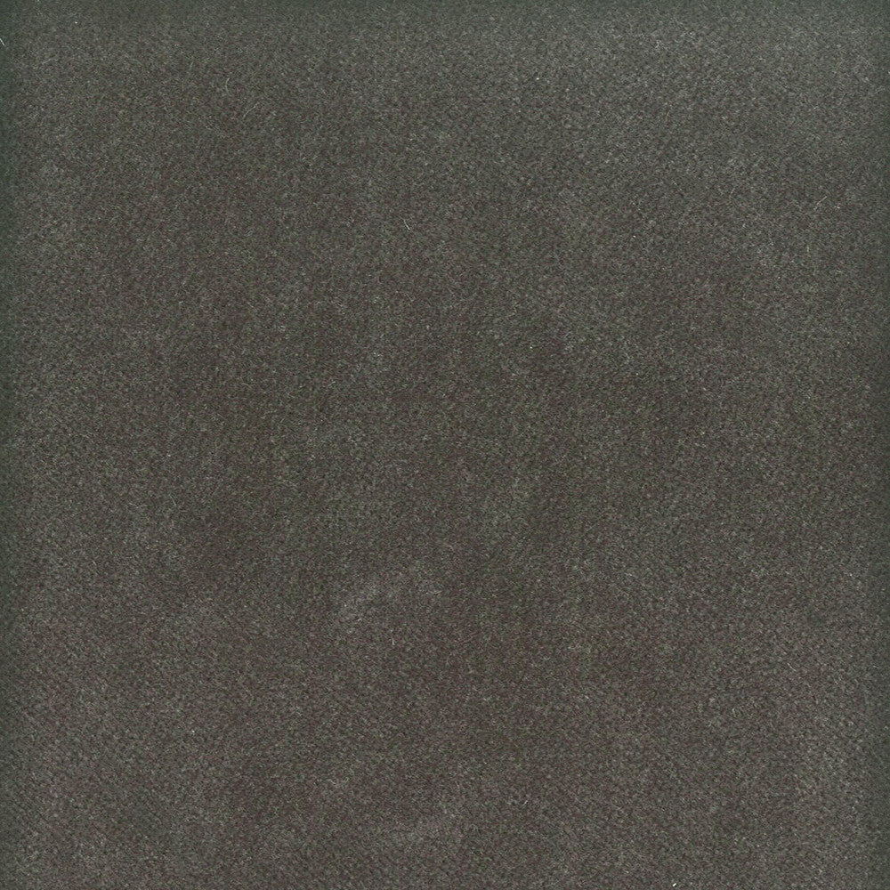 Moore 16 Flint by Stout Designer Fabric TIMELESS VELVETS 82%POL 18%COT SOUTH KOREA FLAME RETARDANT-U.F.A.C. CLASS 1 CATB 117-2013 WYZENBEEK 20 000 DOUBLE RUB WEAR TEST (HEAVY DUTY) Horizontal: 0 and Vertical: 0 54.75 in - Swanky Fabrics -
