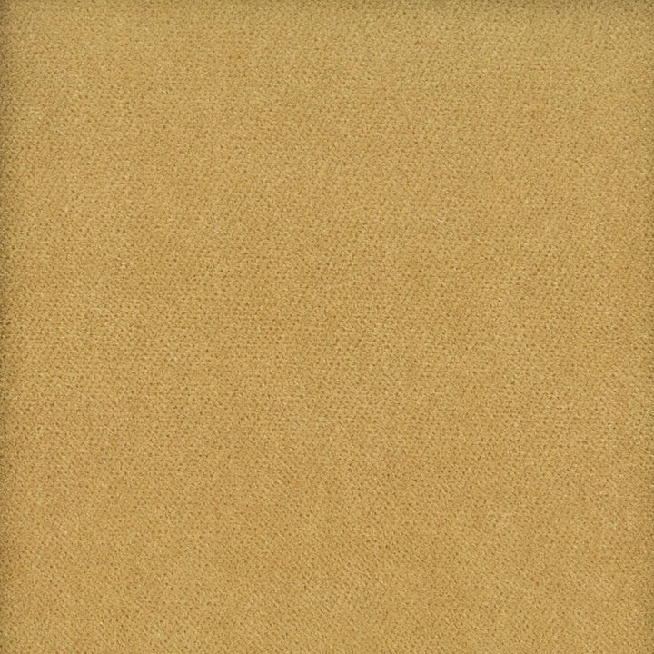 Moore 1 Caramel by Stout Fabric TIMELESS VELVETS 82%POL 18%COT SOUTH KOREA FLAME RETARDANT-U.F.A.C. CLASS 1 CATB 117-2013 WYZENBEEK 20 000 DOUBLE RUB WEAR TEST (HEAVY DUTY) </p><p>Repeat: 0 54.75 in - Fabric Carolina -