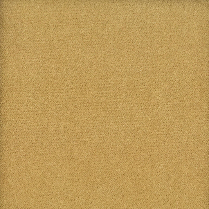Moore 1 Caramel by Stout Designer Fabric TIMELESS VELVETS 82%POL 18%COT SOUTH KOREA FLAME RETARDANT-U.F.A.C. CLASS 1 CATB 117-2013 WYZENBEEK 20 000 DOUBLE RUB WEAR TEST (HEAVY DUTY) Horizontal: 0 and Vertical: 0 54.75 in - Swanky Fabrics -