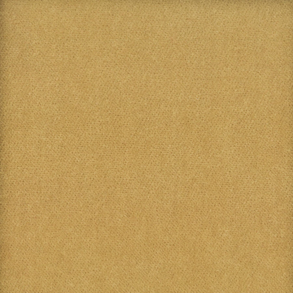 Moore 1 Caramel by Stout Designer Fabric Timeless Velvets 82% Polyester 18% Cotton SOUTH KOREA FLAME RETARDANT-U.F.A.C. CLASS 1 (OR A) CATB 117-2013 WYZENBEEK 20 000 DOUBLE RUB WEAR TEST (HEAVY DUTY) Horizontal: 0 and Vertical: 0 54.75 in - Swanky Fabrics -