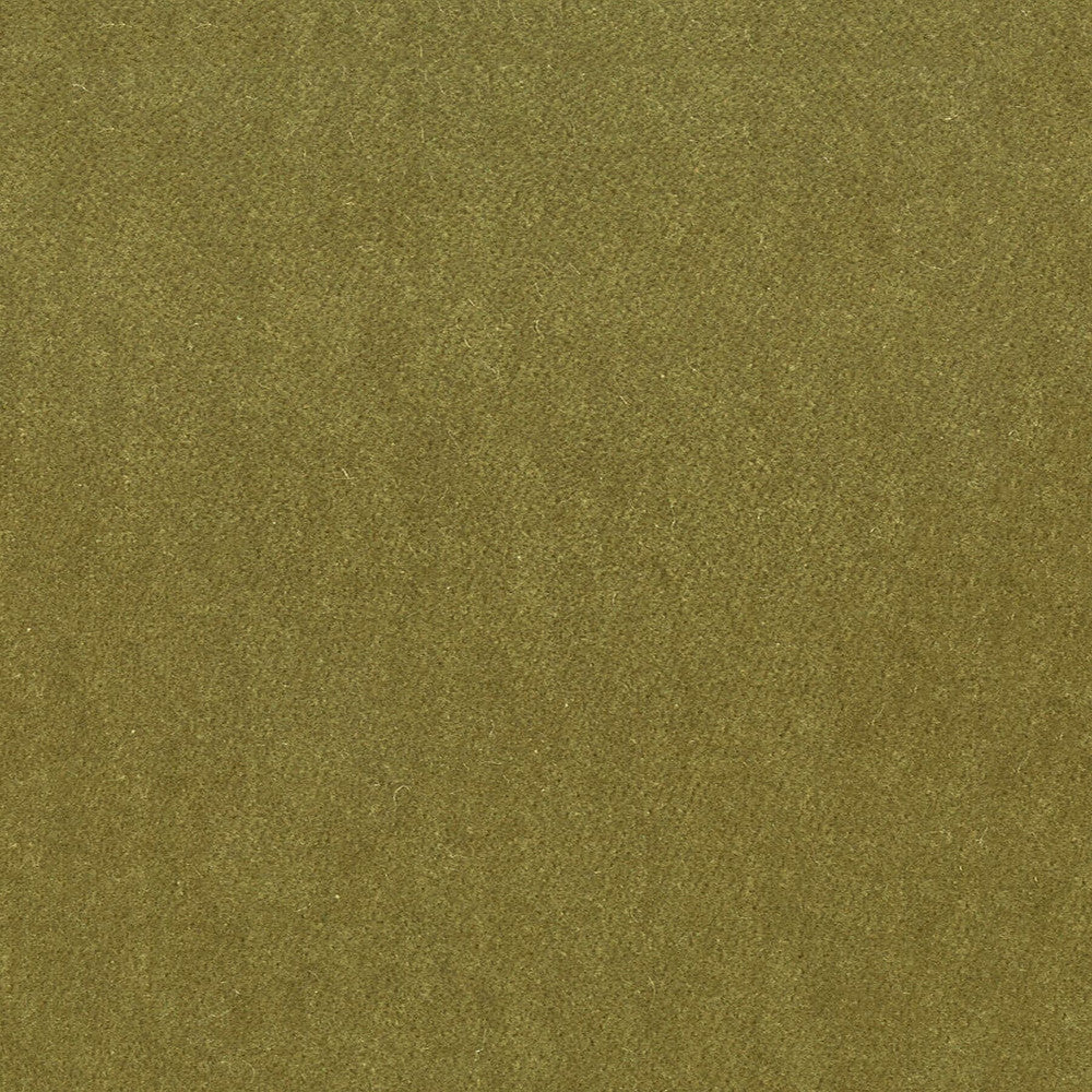 Moore 29 Chive by Stout Fabric TIMELESS VELVETS 82%POL 18%COT SOUTH KOREA FLAME RETARDANT-U.F.A.C. CLASS 1 CATB 117-2013 WYZENBEEK 20 000 DOUBLE RUB WEAR TEST (HEAVY DUTY) </p><p>Repeat: 0 54.75 in - Fabric Carolina -