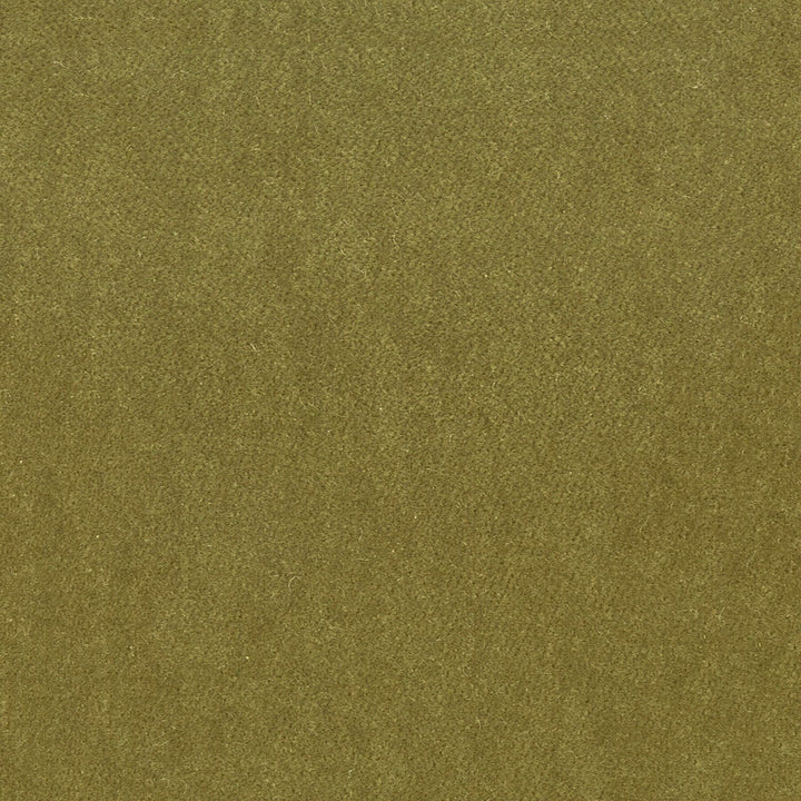 Moore 29 Chive by Stout Fabric Stout Fabric Moore 29 ChiveFabric Timeless Velvets 82%Pol 18%Cot South Korea </p><p>Repeat: H: 0, V: 31.5 54.75 in - Fabric Carolina -